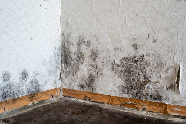 Water damage restoration process in Long Grove, IA